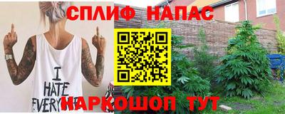 СК Волгодонск
