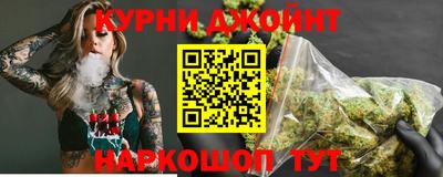 СК Волгодонск
