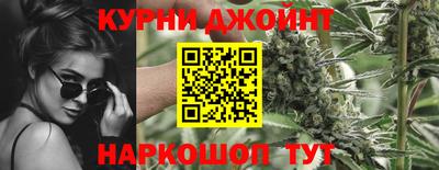 СК Волгодонск