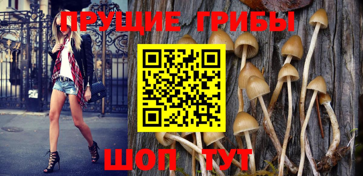 Псилоцибиновые грибы Magic Shrooms  как найти наркотики  Новокубанск  Вход с VPN 