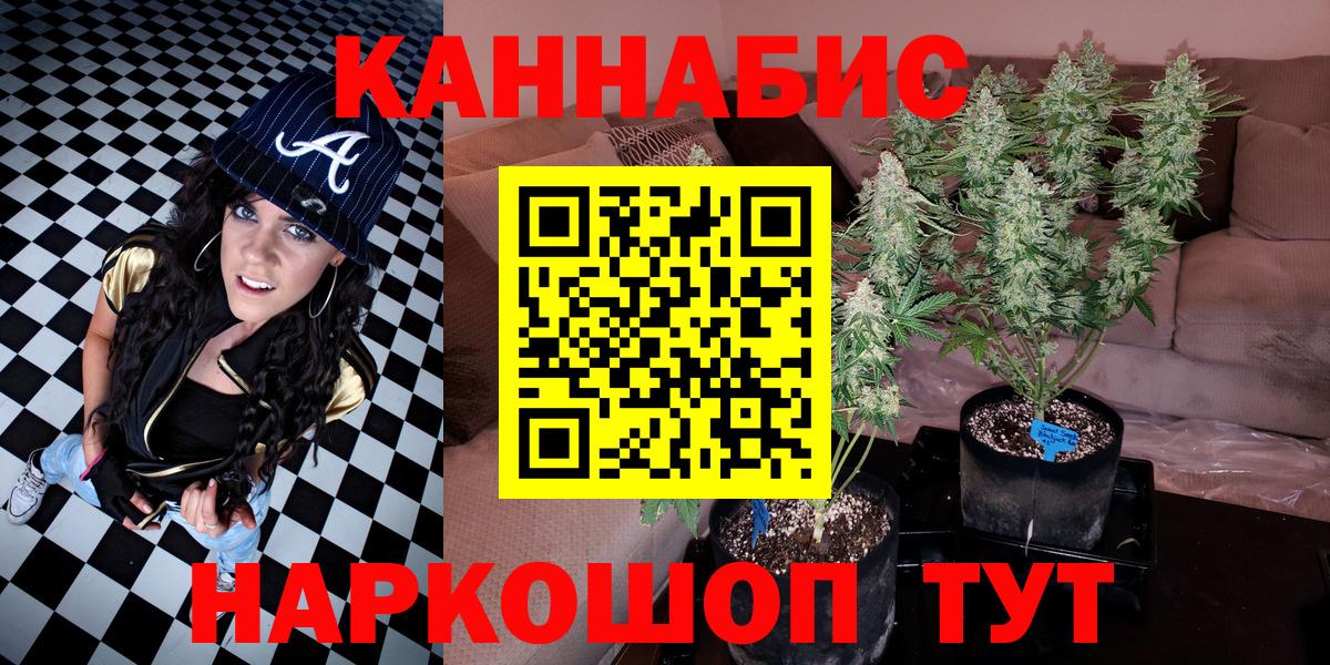 Конопля Amnesia Новокубанск