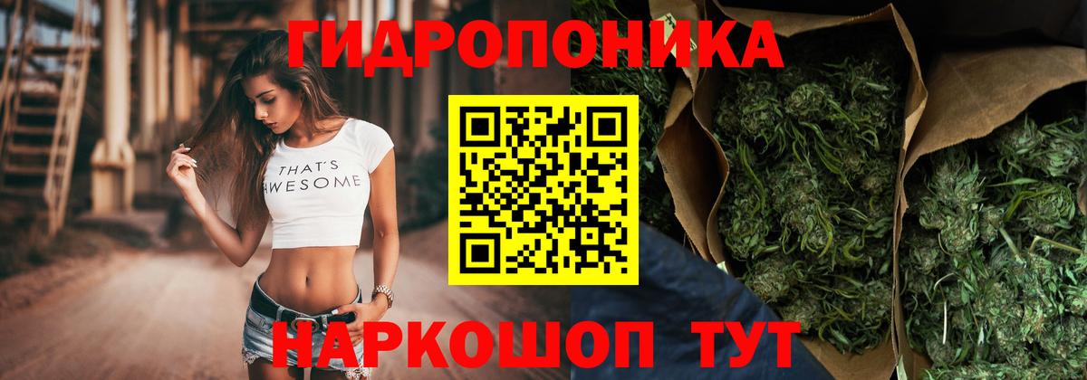 Канабис сатива  МАРИХУАНА ГИДРОПОН  МАРИХУАНА THC 21%  Новокубанск  Вход с VPN  Бошки Шишки индика 
